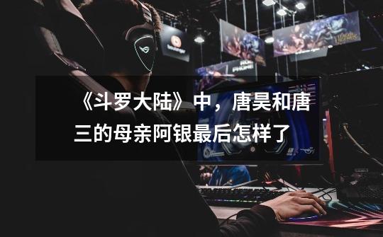 《斗罗大陆》中,唐昊和唐三的母亲阿银最后怎样了-第1张-游戏信息-龙启网