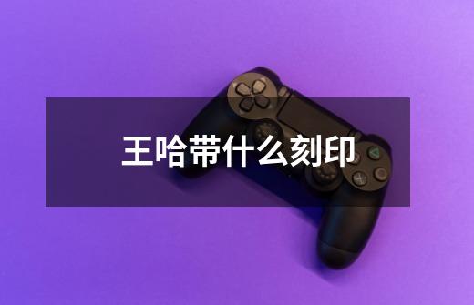 王哈带什么刻印-第1张-游戏信息-龙启网
