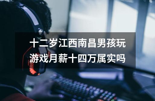 十二岁江西南昌男孩玩游戏月薪十四万属实吗-第1张-游戏信息-龙启网