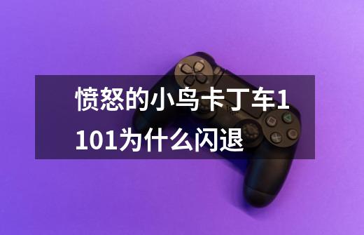 愤怒的小鸟卡丁车1.10.1为什么闪退-第1张-游戏信息-龙启网