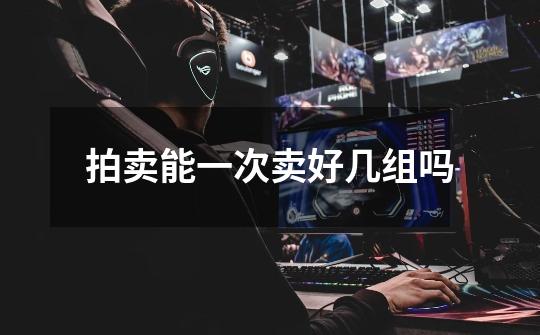 拍卖能一次卖好几组吗-第1张-游戏信息-龙启网