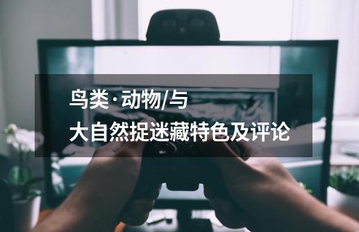 鸟类·动物/与大自然捉迷藏特色及评论-第1张-游戏信息-龙启网