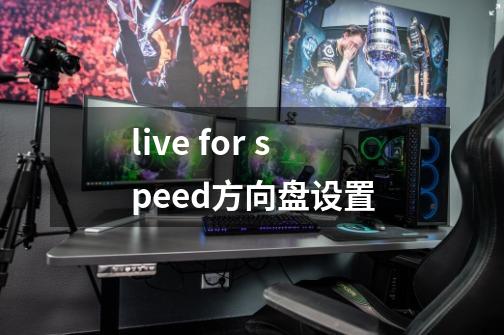 live for speed方向盘设置-第1张-游戏信息-龙启网