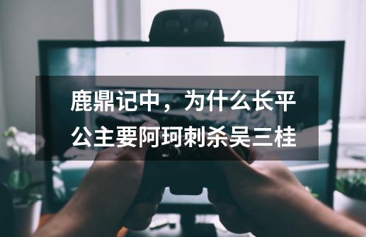 鹿鼎记中,为什么长平公主要阿珂刺杀吴三桂-第1张-游戏信息-龙启网