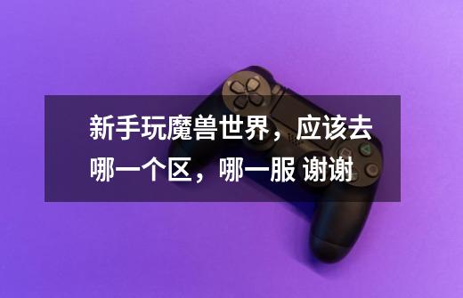 新手玩魔兽世界,应该去哪一个区,哪一服 谢谢-第1张-游戏信息-龙启网