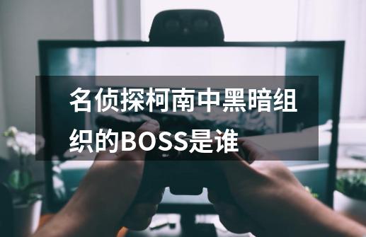 名侦探柯南中黑暗组织的BOSS是谁-第1张-游戏信息-龙启网