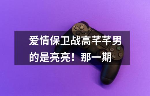 爱情保卫战高芊芊男的是亮亮！那一期-第1张-游戏信息-龙启网