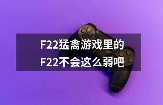 F22猛禽游戏里的F22不会这么弱吧-第1张-游戏信息-龙启网