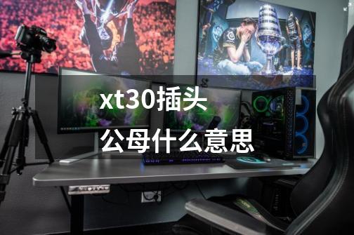 xt30插头公母什么意思-第1张-游戏信息-龙启网