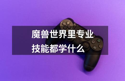 魔兽世界里专业技能都学什么-第1张-游戏信息-龙启网