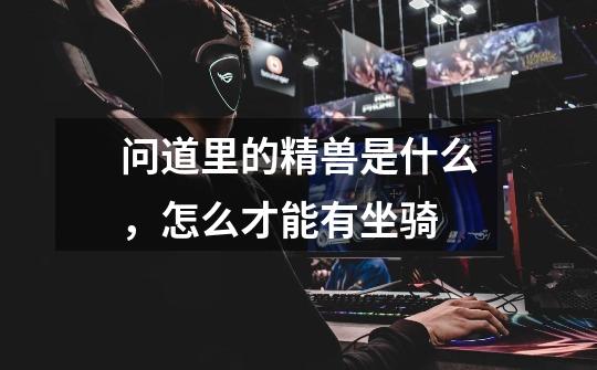 问道里的精兽是什么,怎么才能有坐骑-第1张-游戏信息-龙启网