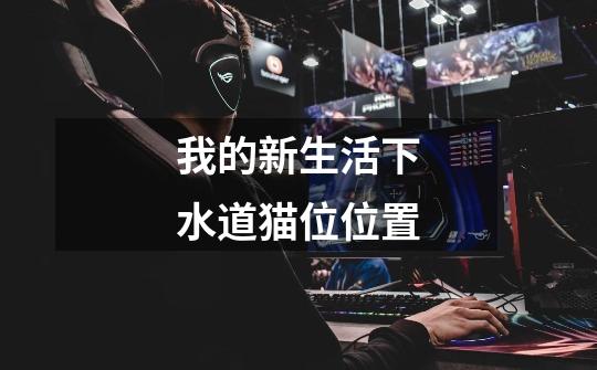 我的新生活下水道猫位位置-第1张-游戏信息-龙启网