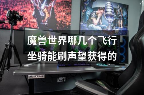 魔兽世界哪几个飞行坐骑能刷声望获得的-第1张-游戏信息-龙启网