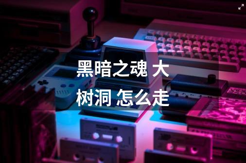 黑暗之魂 大树洞 怎么走-第1张-游戏信息-龙启网