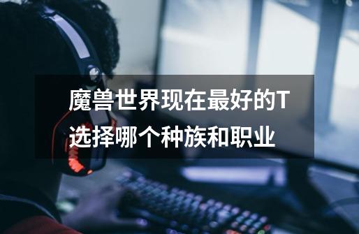 魔兽世界现在最好的T选择哪个种族和职业-第1张-游戏信息-龙启网
