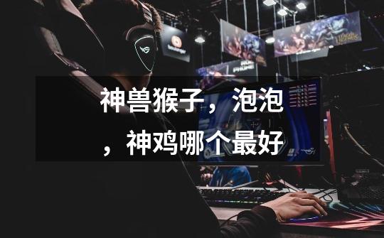 神兽猴子,泡泡,神鸡哪个最好-第1张-游戏信息-龙启网
