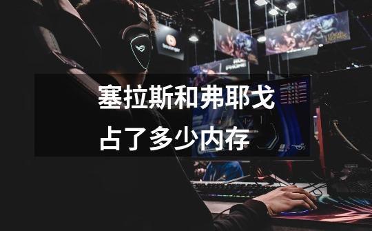 塞拉斯和弗耶戈占了多少内存-第1张-游戏信息-龙启网