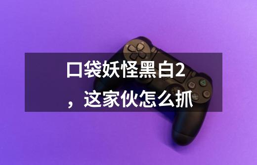 口袋妖怪黑白2,这家伙怎么抓-第1张-游戏信息-龙启网