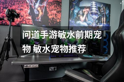 问道手游敏水前期宠物 敏水宠物推荐-第1张-游戏信息-龙启网