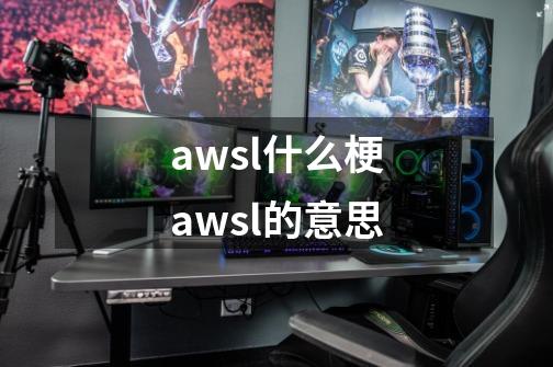 awsl什么梗awsl的意思-第1张-游戏信息-龙启网