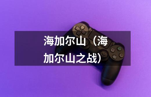 海加尔山(海加尔山之战)-第1张-游戏信息-龙启网