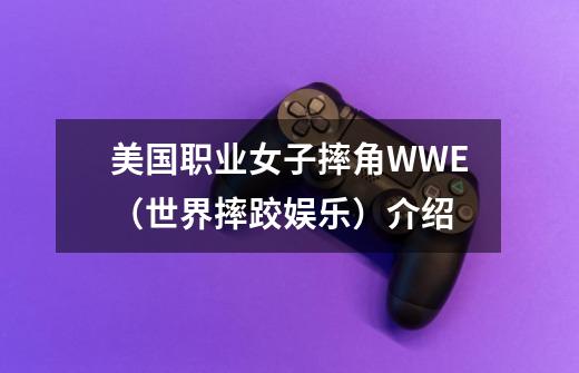 美国职业女子摔角WWE(世界摔跤娱乐)介绍-第1张-游戏信息-龙启网