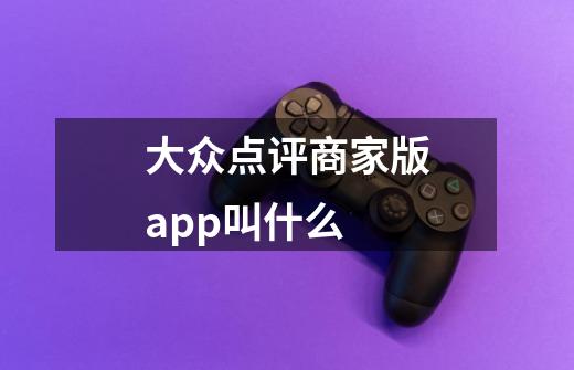 大众点评商家版app叫什么-第1张-游戏信息-龙启网