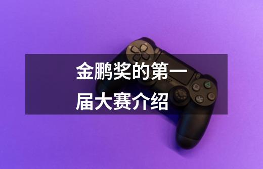 金鹏奖的第一届大赛介绍-第1张-游戏信息-龙启网