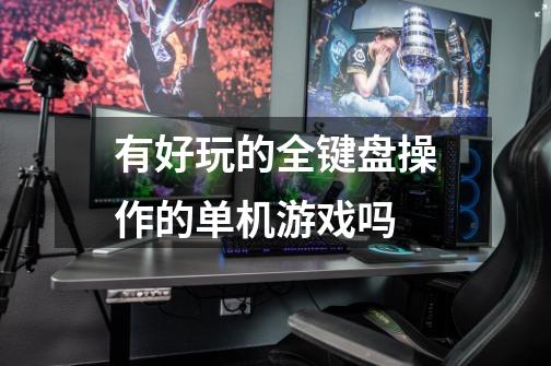 有好玩的全键盘操作的单机游戏吗-第1张-游戏信息-龙启网