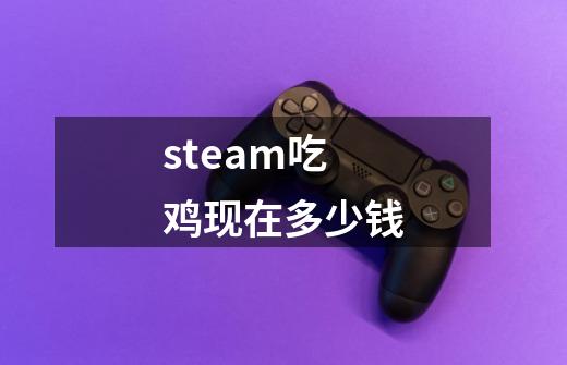 steam吃鸡现在多少钱-第1张-游戏信息-龙启网