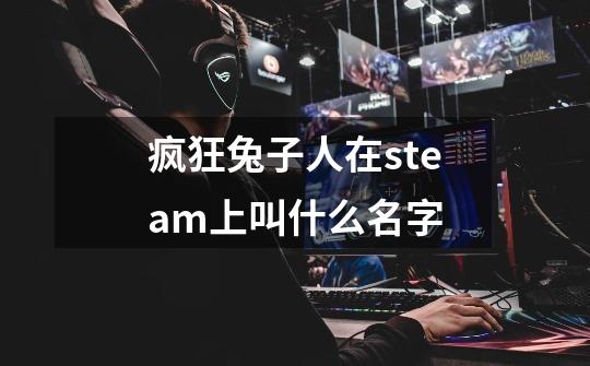 疯狂兔子人在steam上叫什么名字-第1张-游戏信息-龙启网