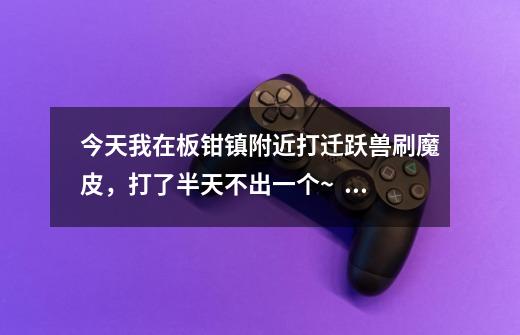 今天我在板钳镇附近打迁跃兽刷魔皮，打了半天不出一个~   我想问问 掉率 是不是被改过啊-第1张-游戏信息-龙启网
