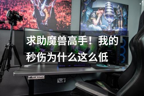 求助魔兽高手!我的秒伤为什么这么低-第1张-游戏信息-龙启网