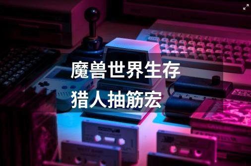 魔兽世界生存猎人抽筋宏-第1张-游戏信息-龙启网