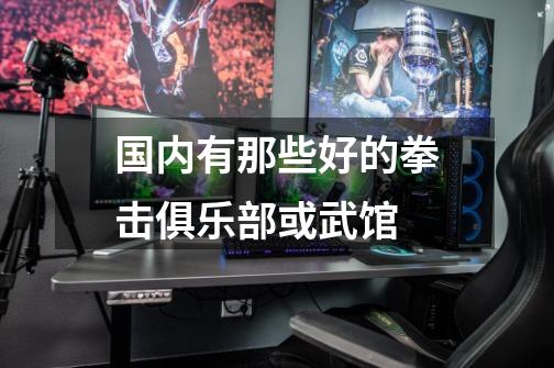 国内有那些好的拳击俱乐部或武馆-第1张-游戏信息-龙启网