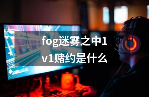fog迷雾之中1v1赌约是什么-第1张-游戏信息-龙启网