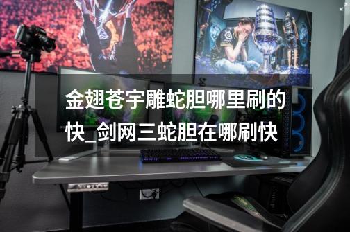 金翅苍宇雕蛇胆哪里刷的快_剑网三蛇胆在哪刷快-第1张-游戏信息-龙启网
