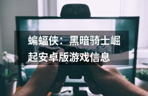 蝙蝠侠:黑暗骑士崛起安卓版游戏信息-第1张-游戏信息-龙启网