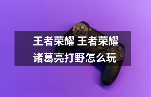 王者荣耀 王者荣耀诸葛亮打野怎么玩-第1张-游戏信息-龙启网