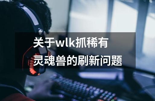 关于wlk抓稀有灵魂兽的刷新问题-第1张-游戏信息-龙启网