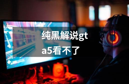纯黑解说gta5看不了-第1张-游戏信息-龙启网