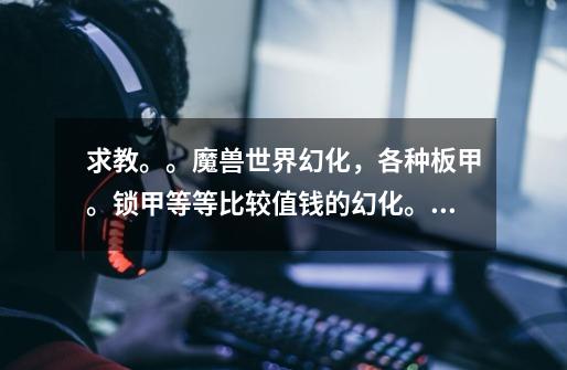 求教。。魔兽世界幻化，各种板甲。锁甲等等比较值钱的幻化。。粘贴复制党绕行。满意可高分-第1张-游戏信息-龙启网