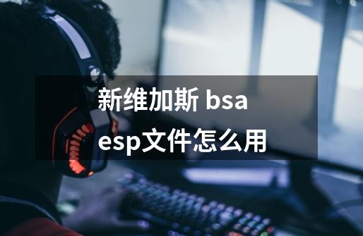 新维加斯 bsa esp文件怎么用-第1张-游戏信息-龙启网