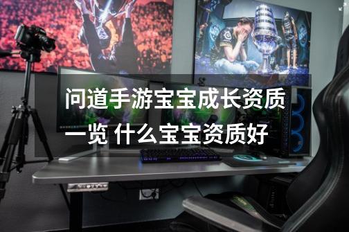 问道手游宝宝成长资质一览 什么宝宝资质好-第1张-游戏信息-龙启网