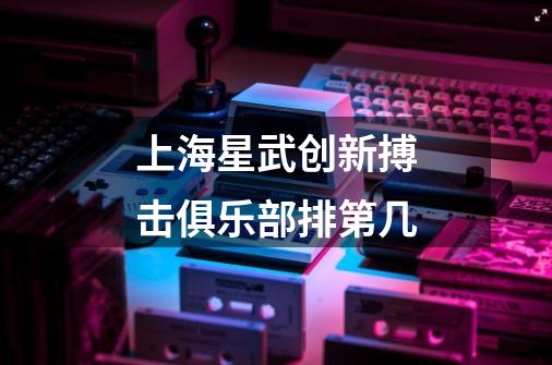 上海星武创新搏击俱乐部排第几-第1张-游戏信息-龙启网