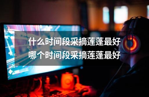 什么时间段采摘莲蓬最好哪个时间段采摘莲蓬最好-第1张-游戏信息-龙启网