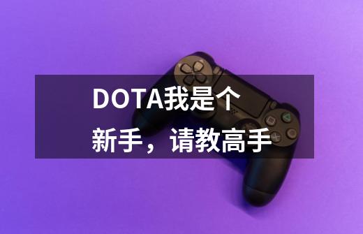 DOTA我是个新手,请教高手-第1张-游戏信息-龙启网