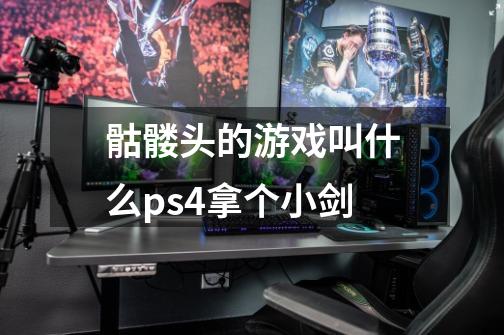 骷髅头的游戏叫什么ps4拿个小剑-第1张-游戏信息-龙启网