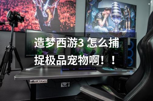 造梦西游3 怎么捕捉极品宠物啊!!-第1张-游戏信息-龙启网