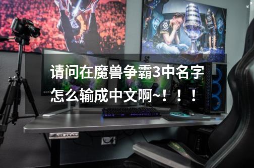 请问在魔兽争霸3中名字怎么输成中文啊~!!!-第1张-游戏信息-龙启网